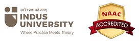 Thesis Writing Services in Ahmedabad 6 induslogo-naacb2